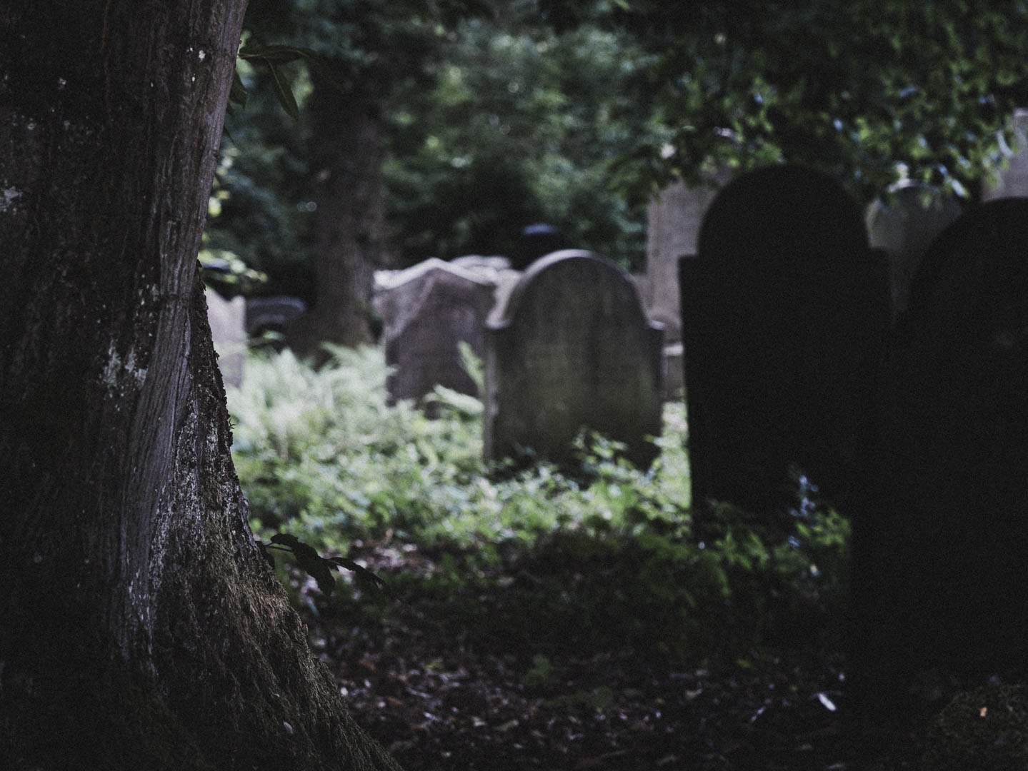 Bodenfeldem Jüdischer Friedhof